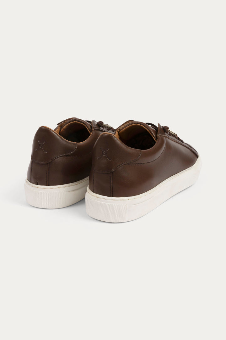 Arezzo Leather Smart Trainers in Dark Brown