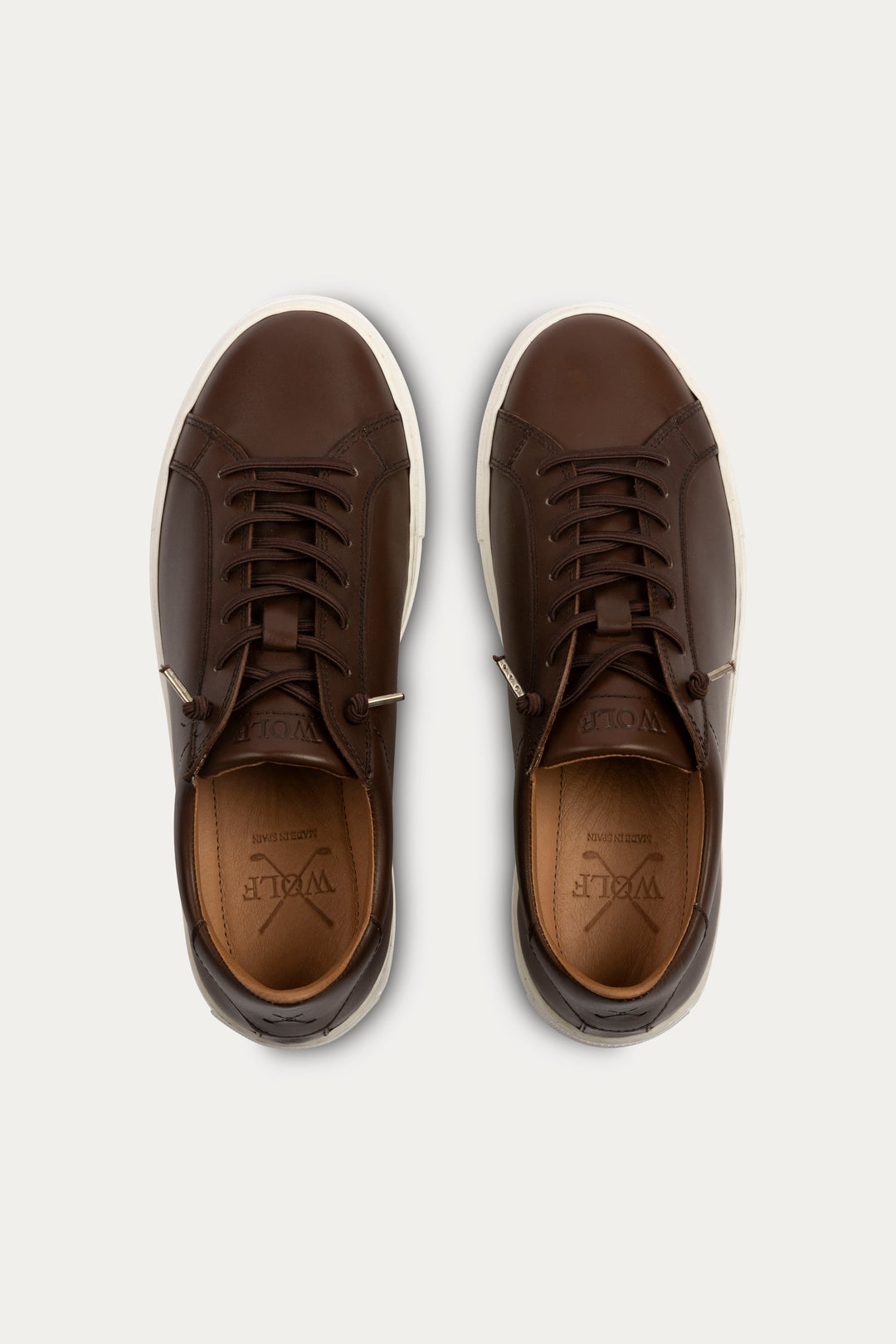 Arezzo Leather Smart Trainers in Dark Brown