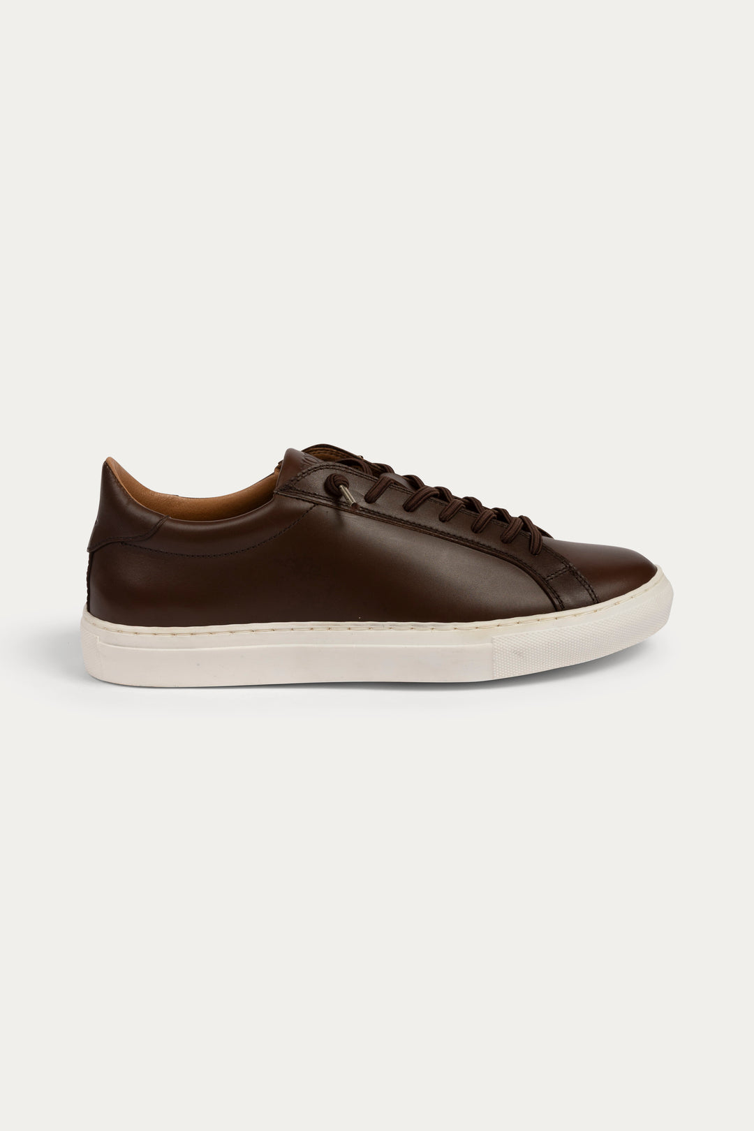Arezzo Leather Smart Trainers in Dark Brown