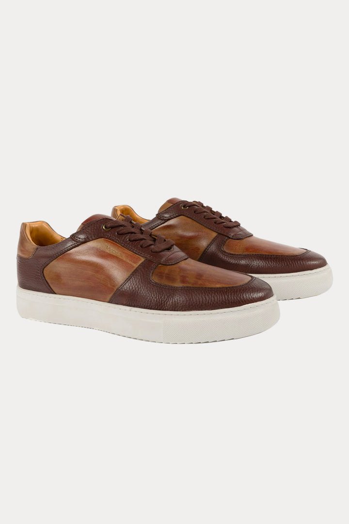 Brixton Leather Trainers in Tan