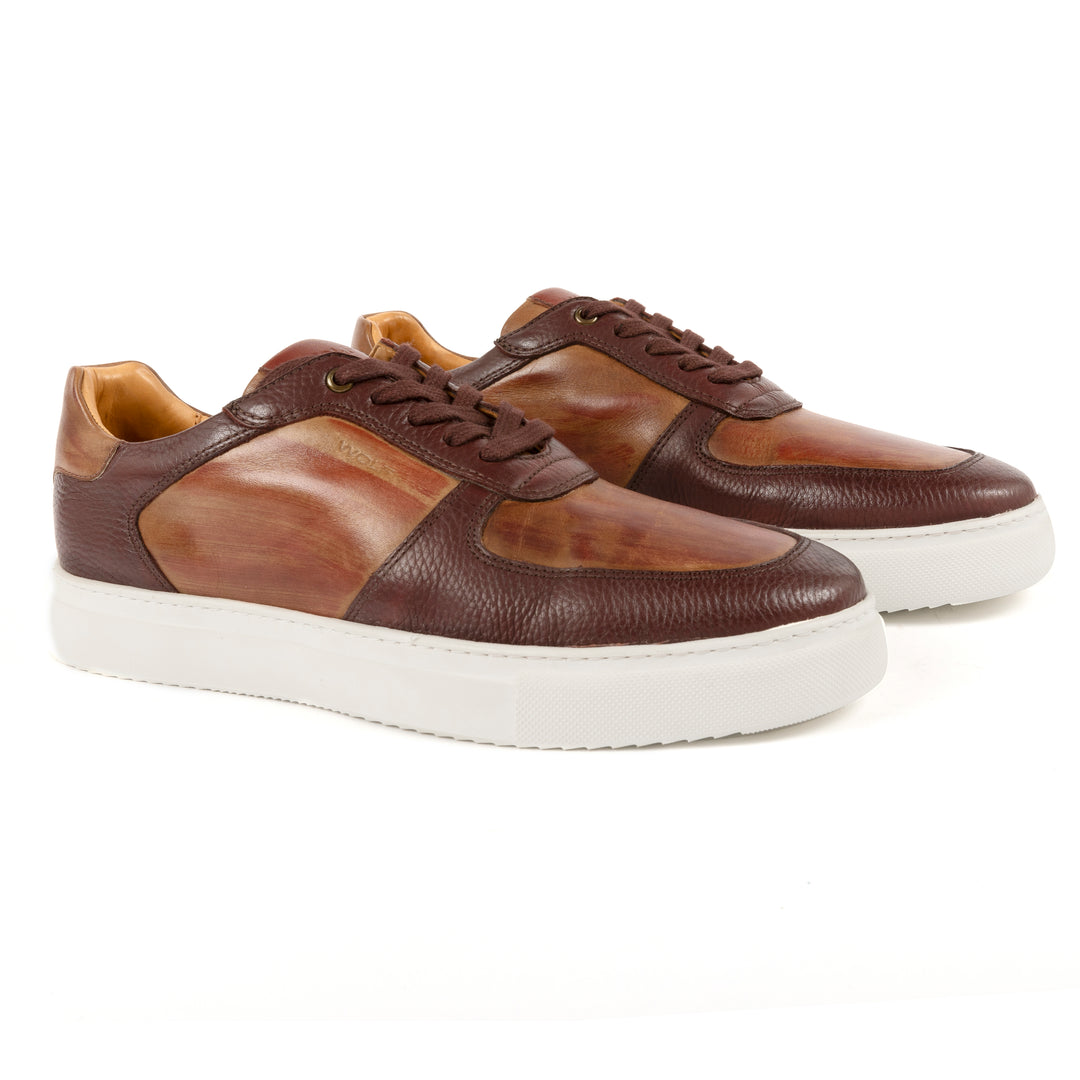 Brixton Leather Trainers in Tan